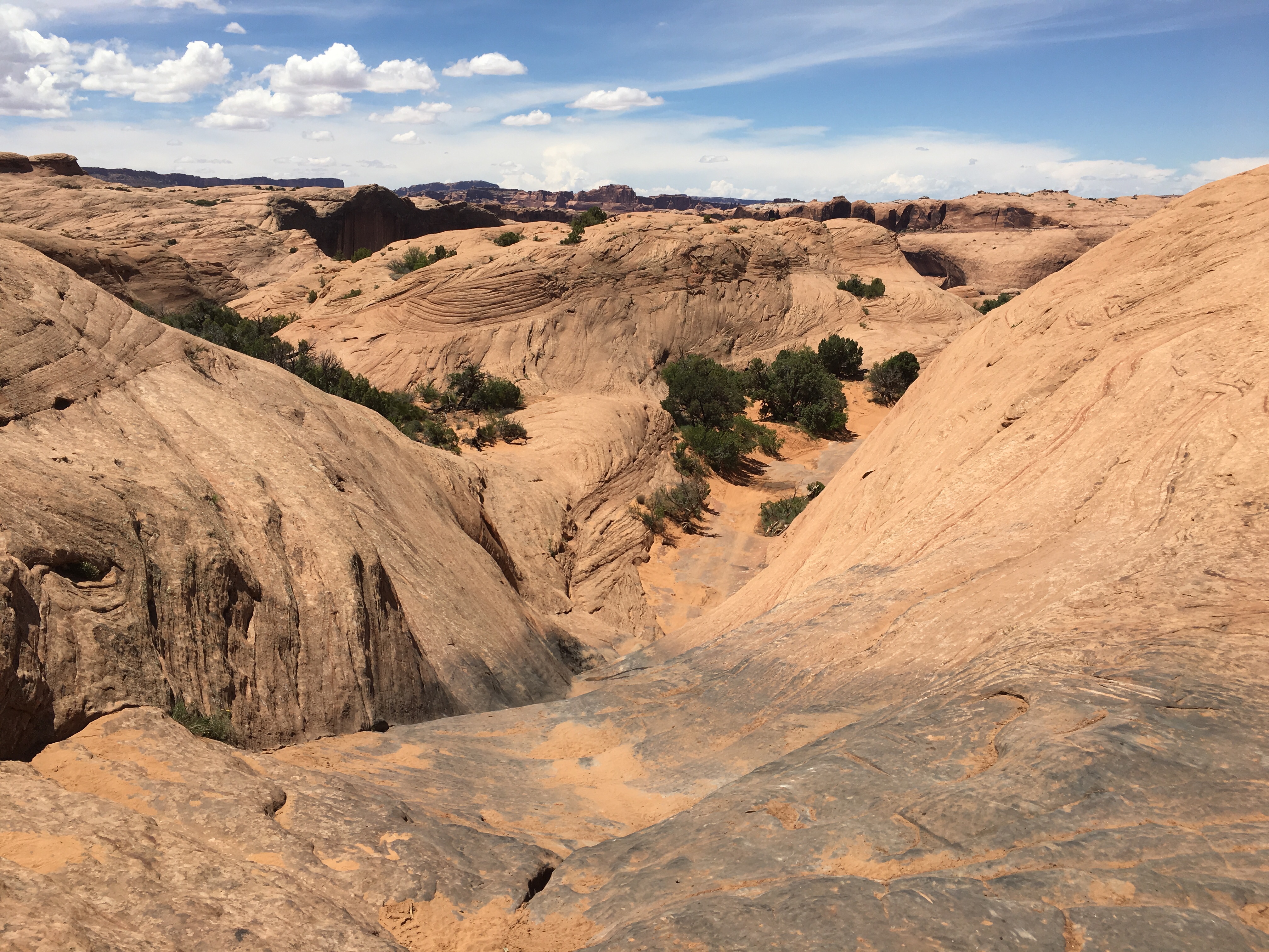 Moab Madness