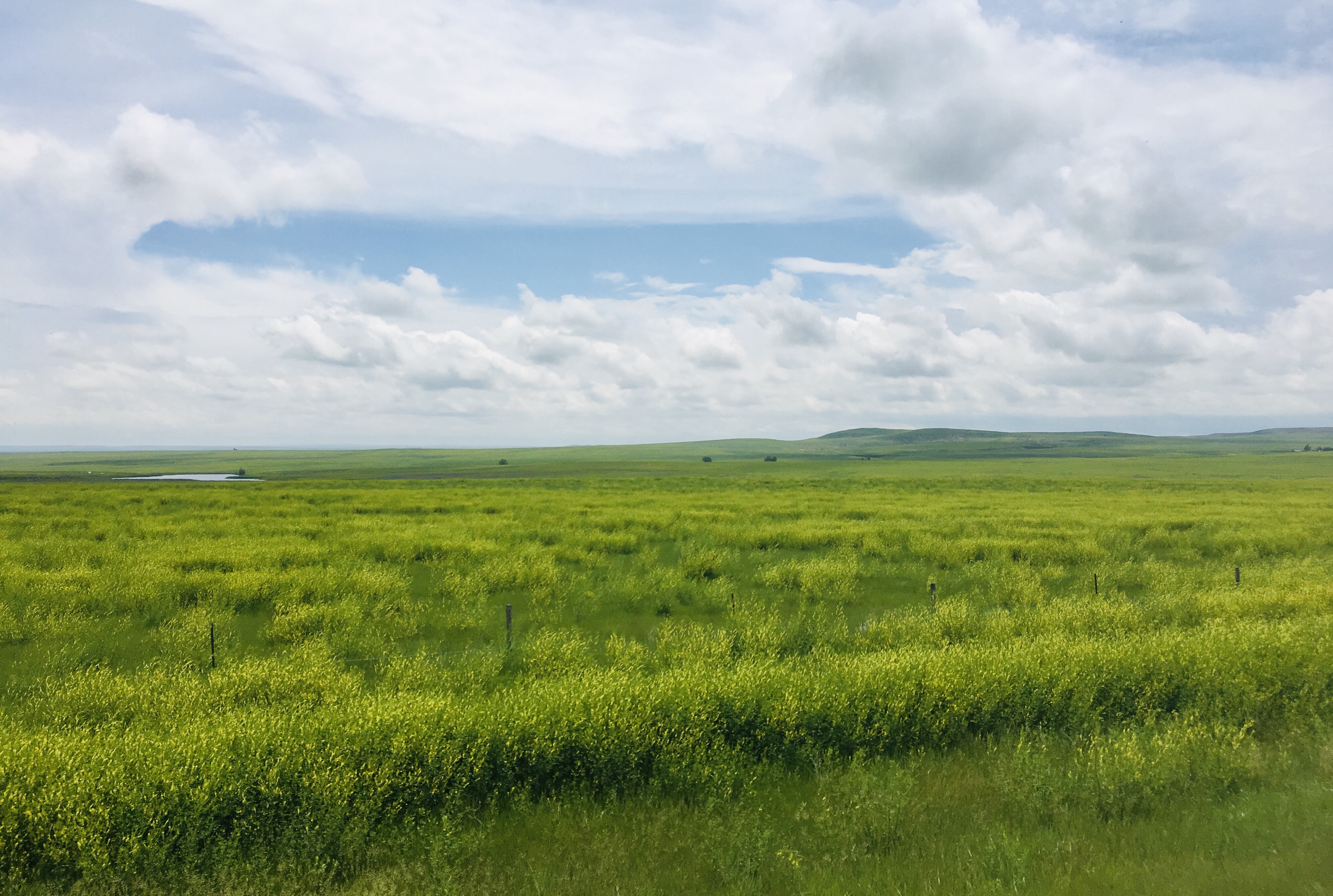 Rolling Condo on the Prairie