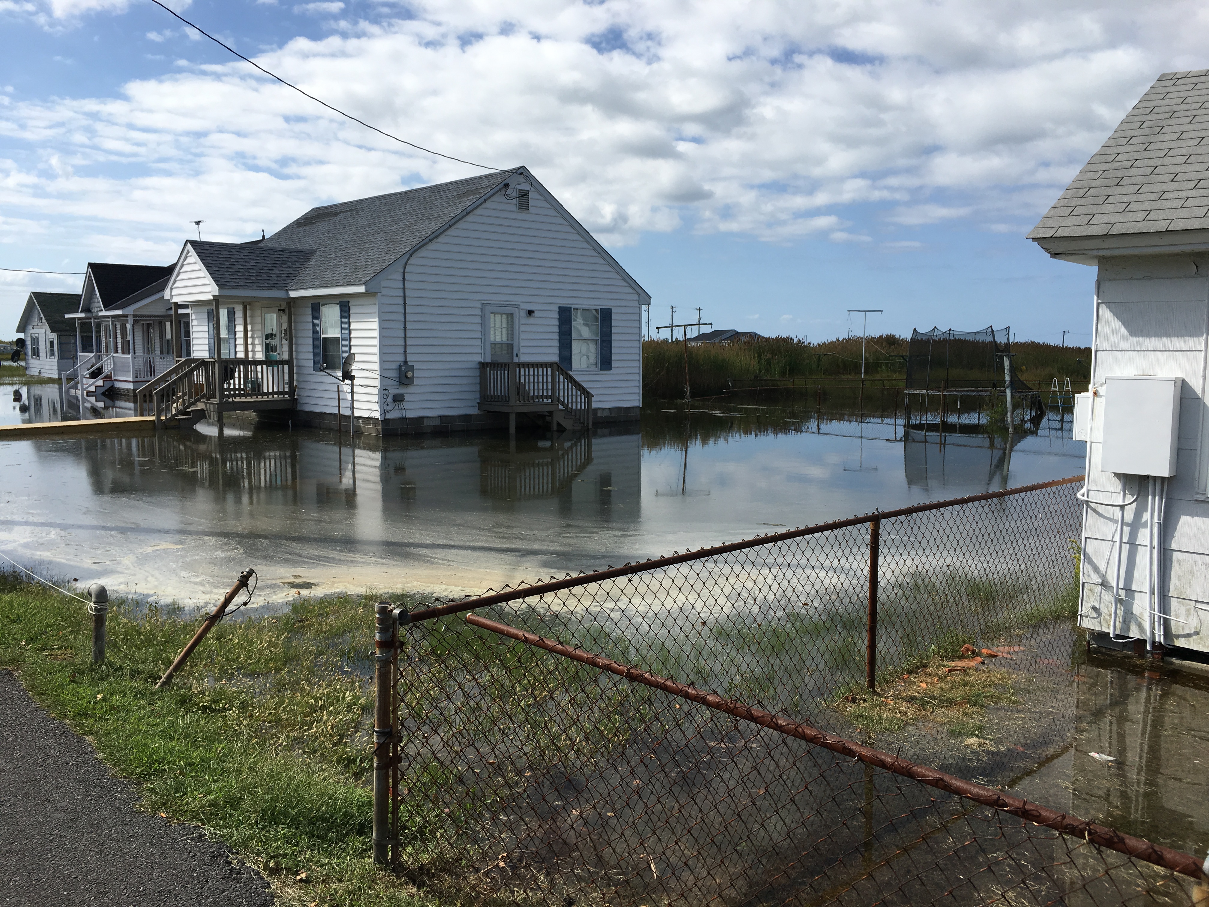 Tangier Island: The sinking softshell capital of the world