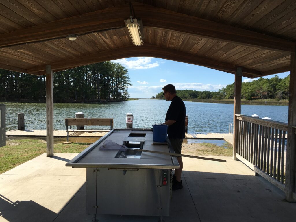 Fish cleaning station