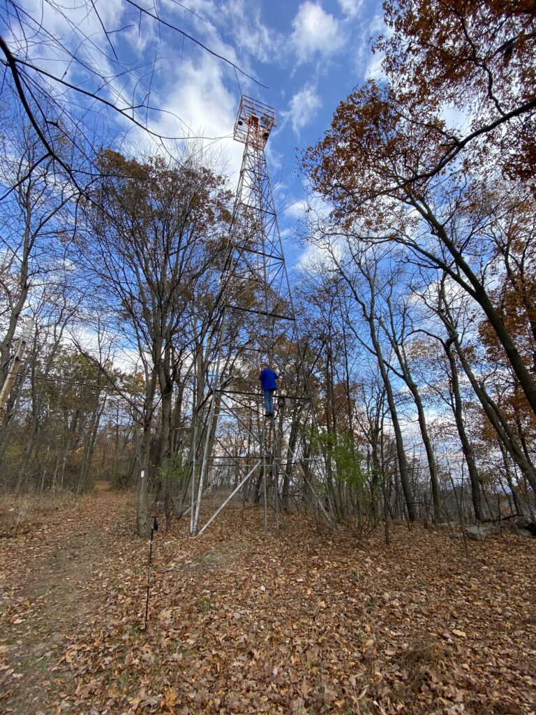 Fire Tower