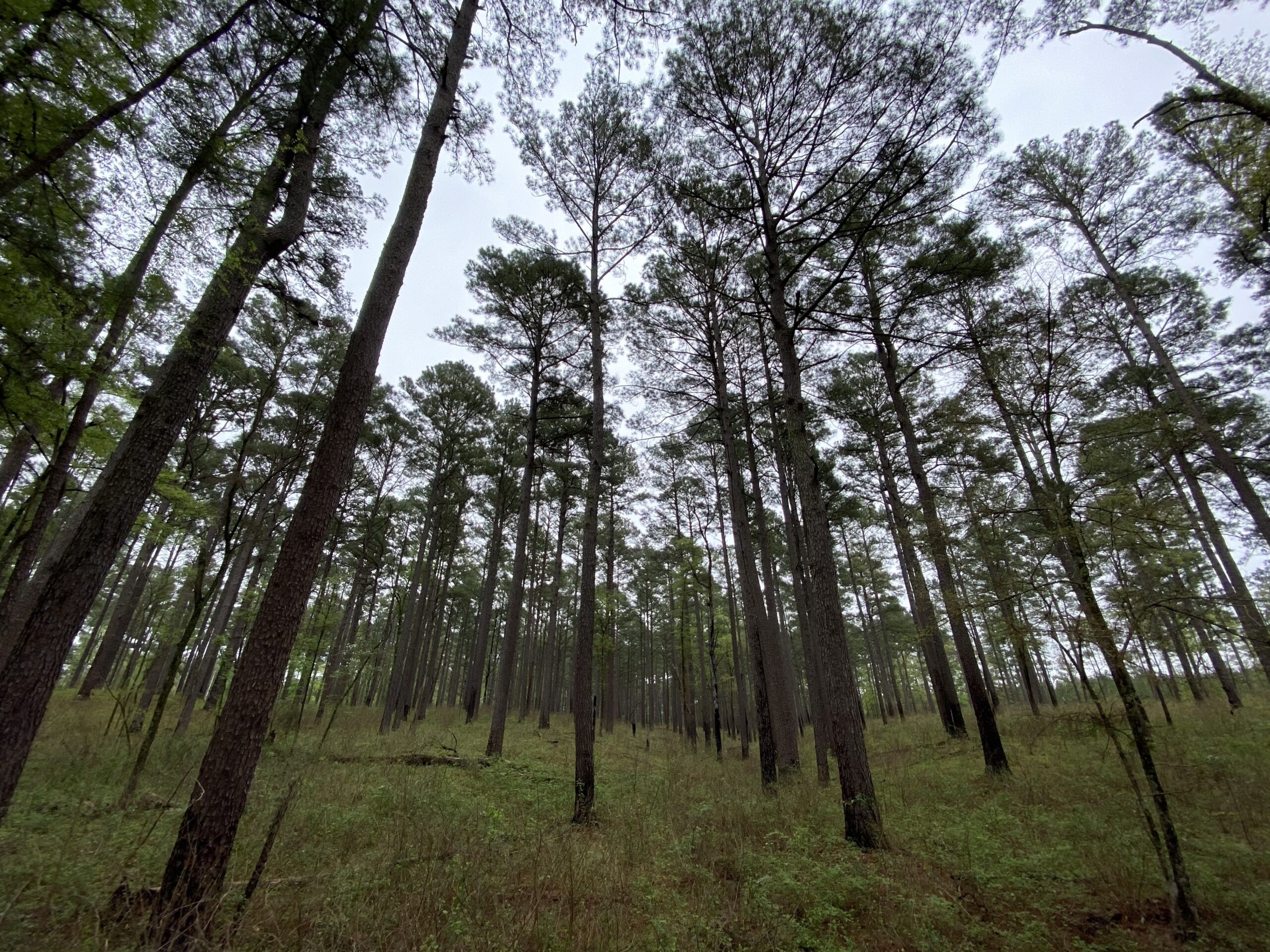 Barksdale National Park