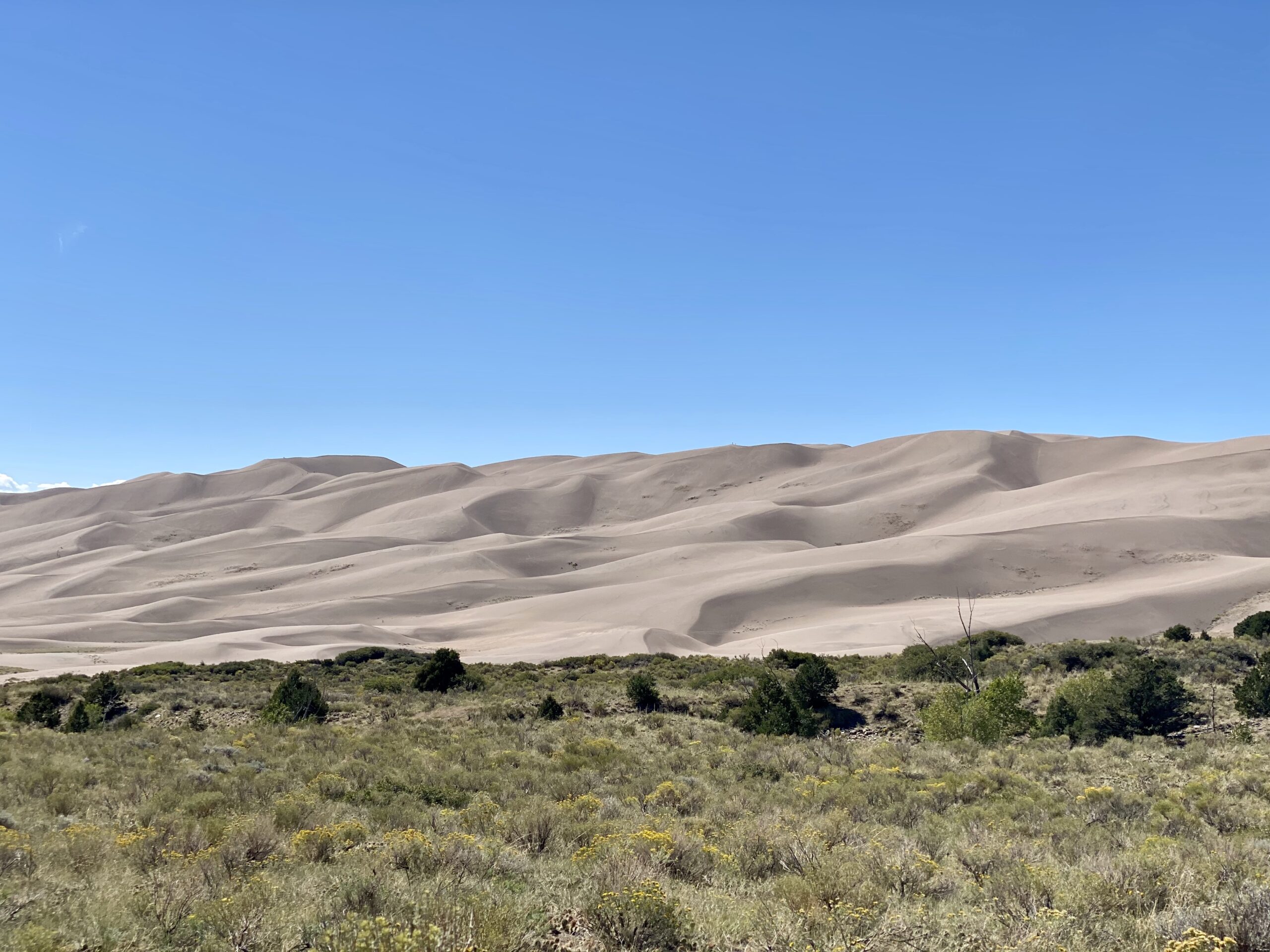 True Grit at Great Sand Dunes National Park
