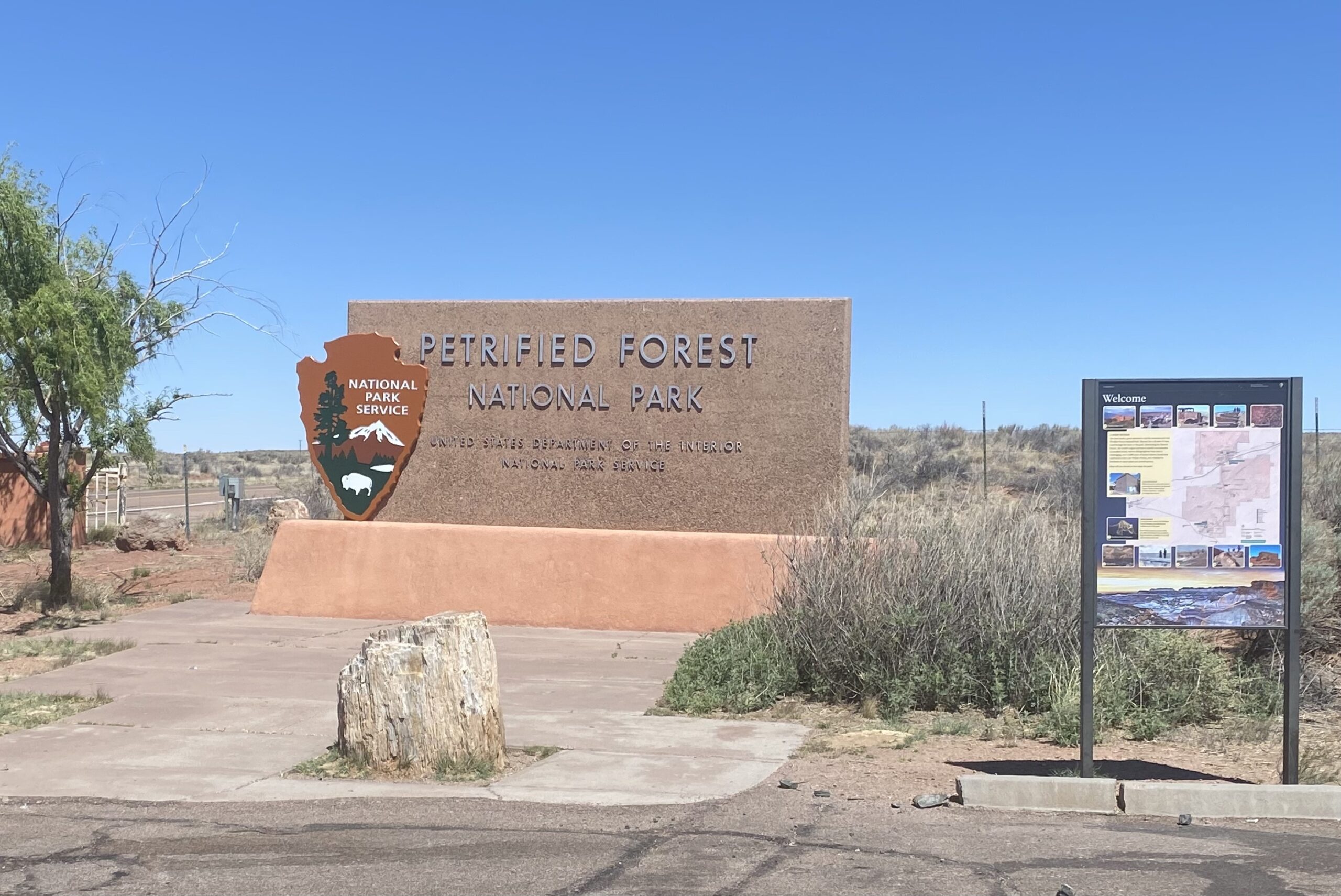 Petrified to Hike