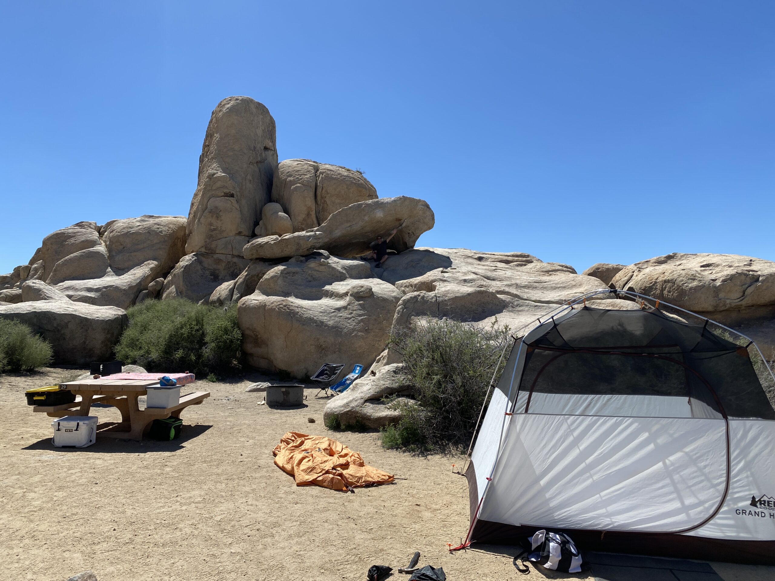 With or (hopefully) Without You at Joshua Tree