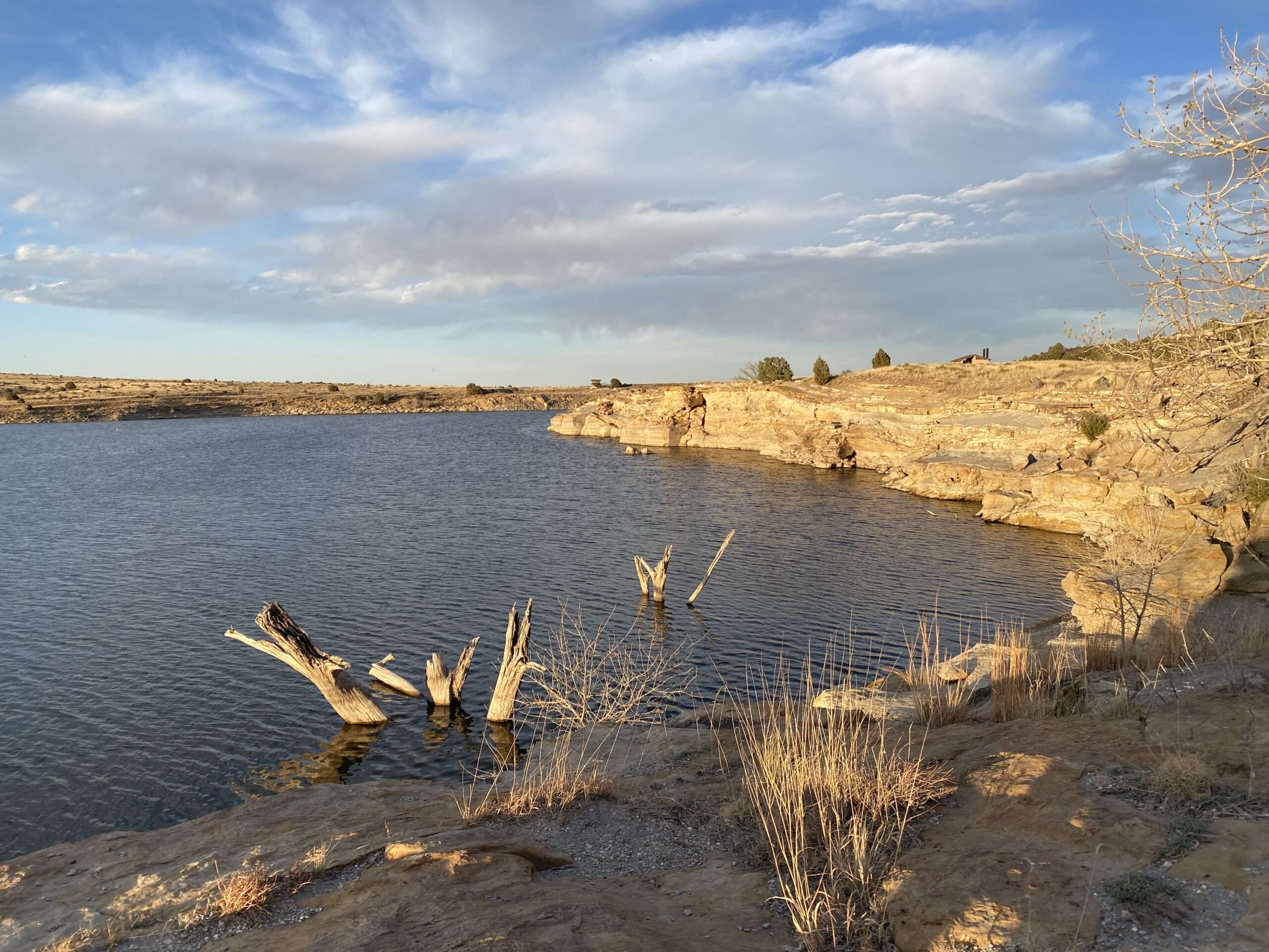 New Mexico Magic