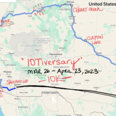 10T-iversary: Chasing California Super Blooms