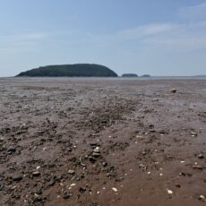 The Fundy Is Over