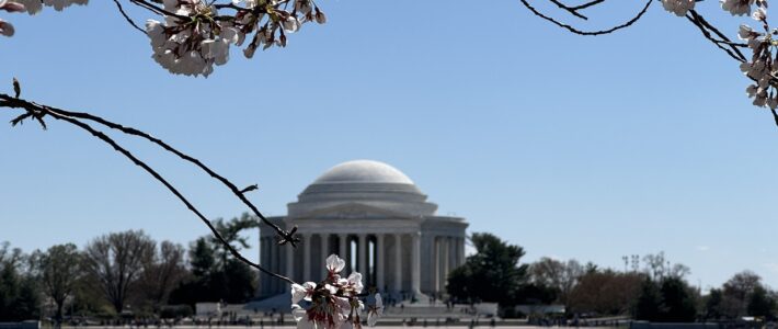Cherry Picking in D.C.