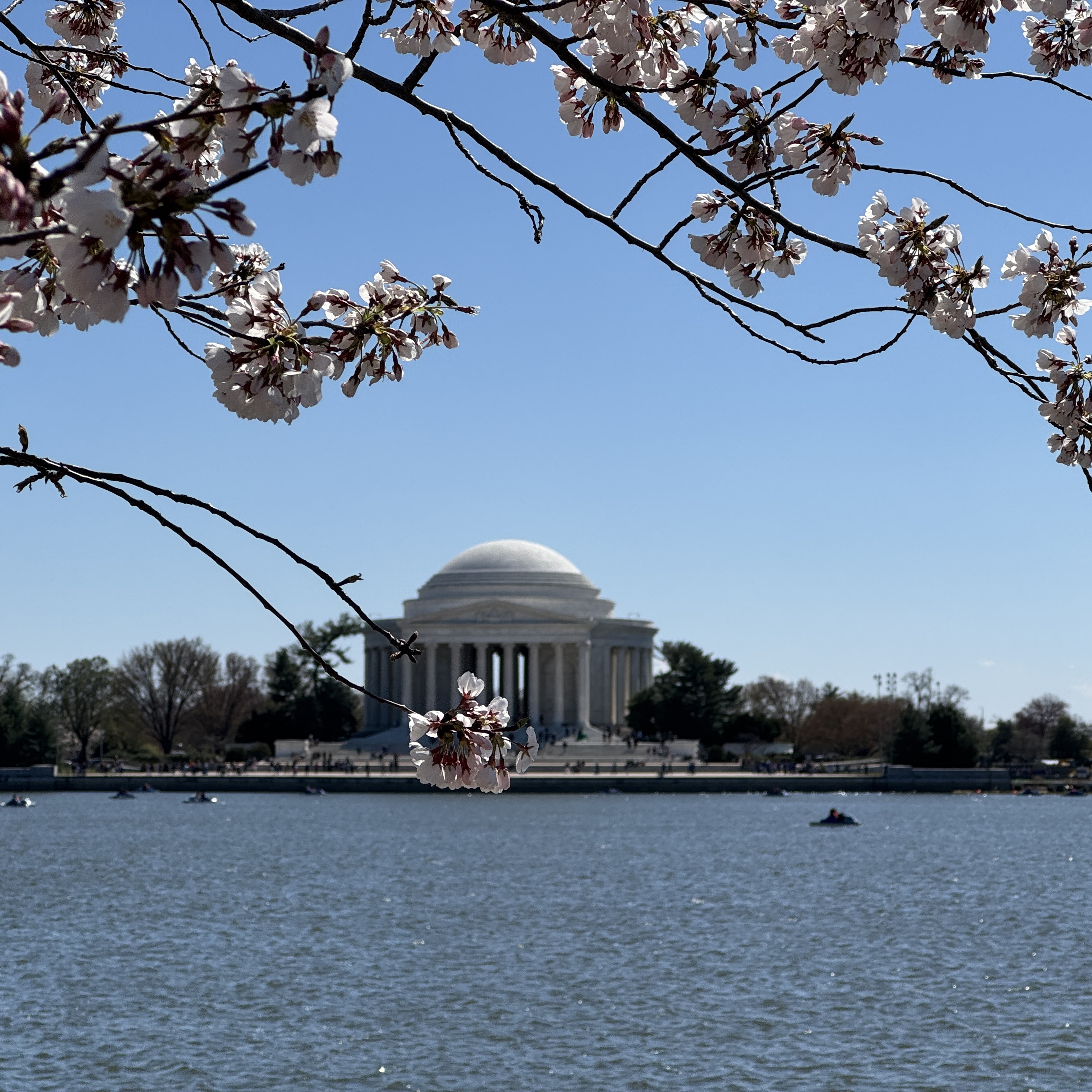 Cherry Picking in D.C.