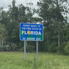 The Devil Went Down To Georgia (as a gnat)