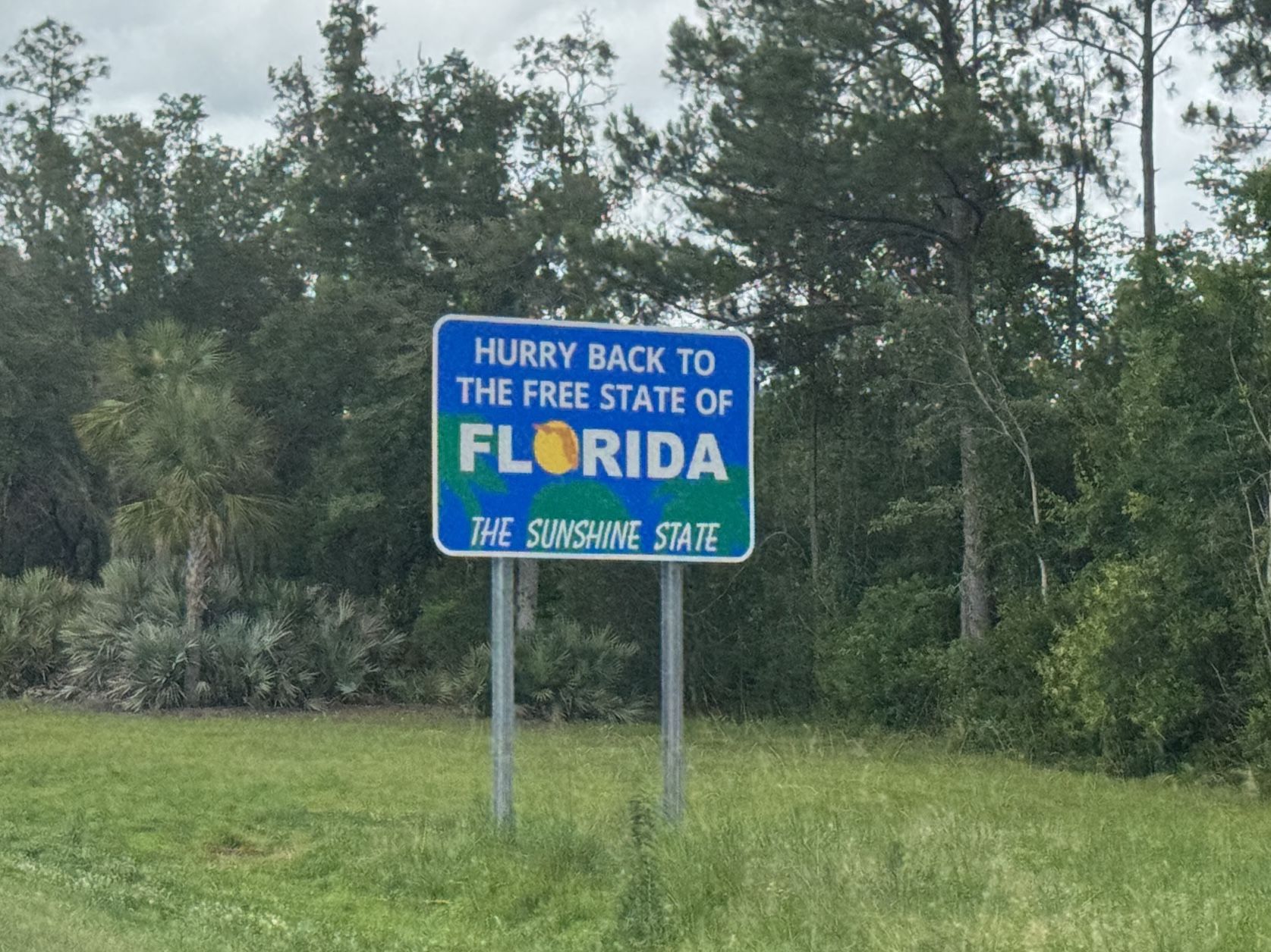 The Devil Went Down To Georgia (as a gnat)