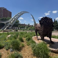 Sioux Falls is for Dreamers