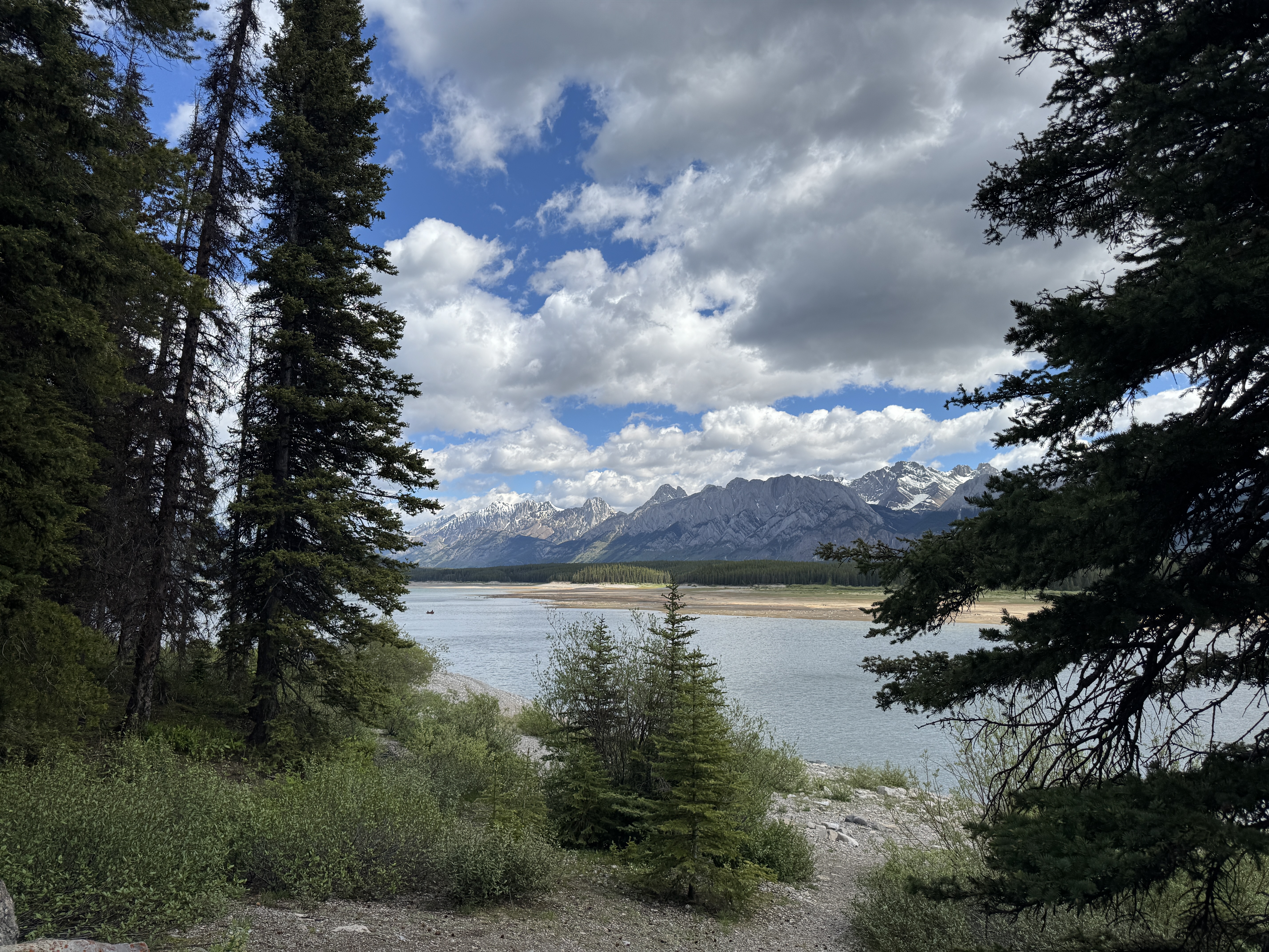Cindy Kananaskis