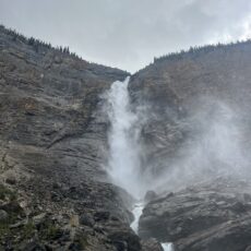 Finding our MOJO in YOHO