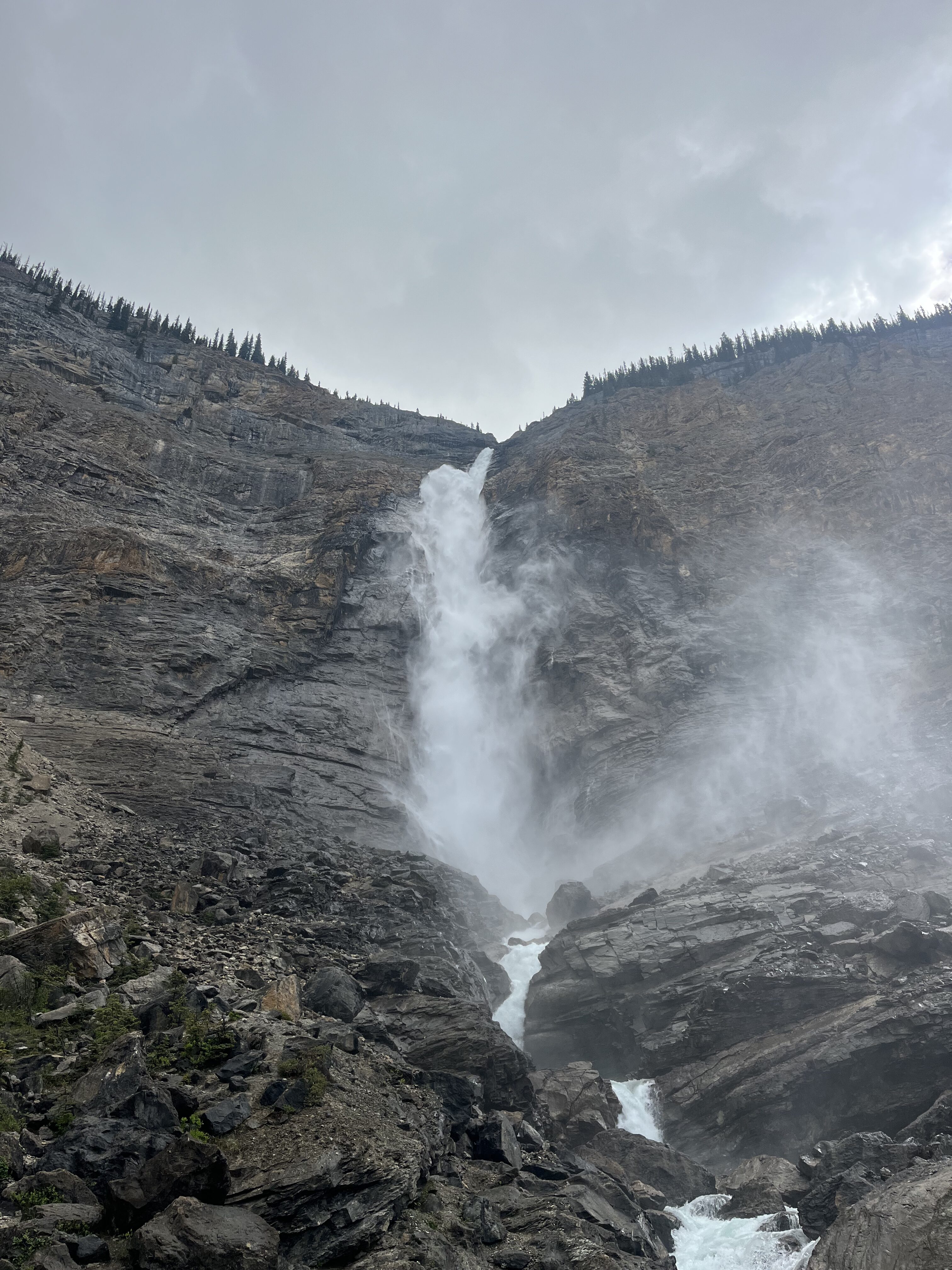 Finding our MOJO in YOHO
