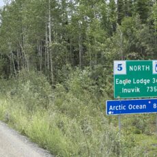 Arctic Odyssey