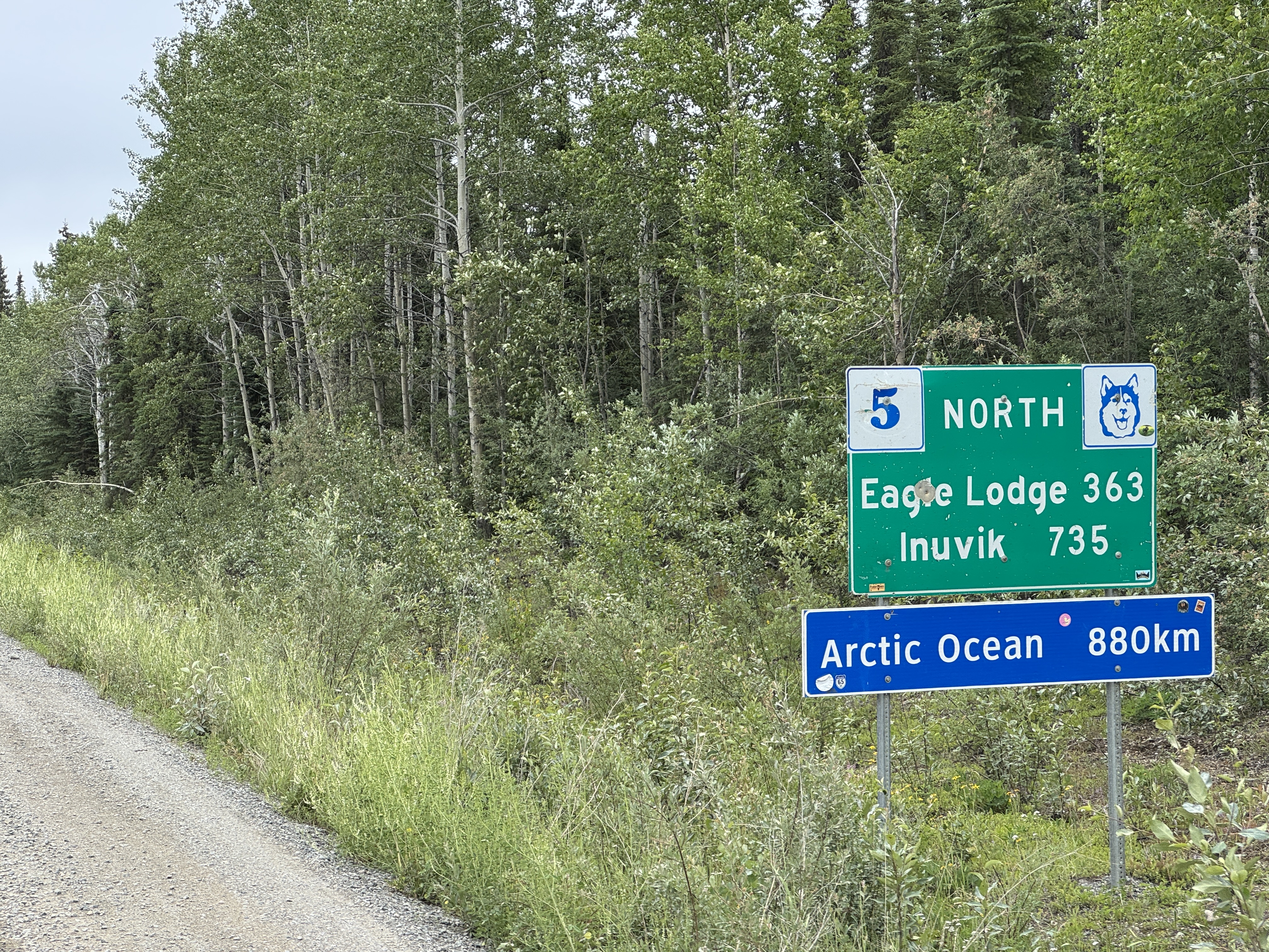 Arctic Odyssey