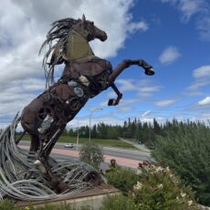 Righting in Whitehorse